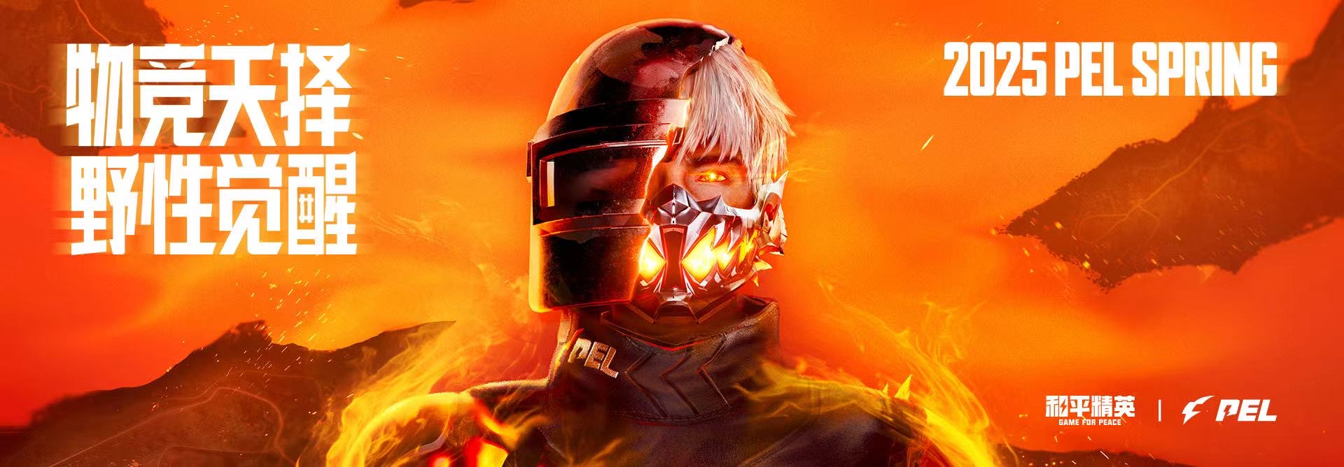 和平精英【初夏内核】辅助